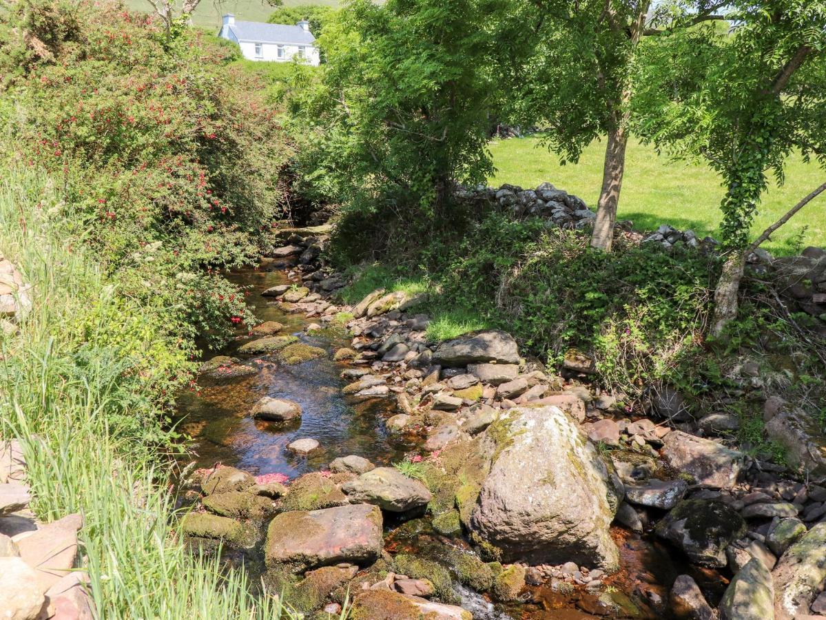 Lack Cottage Tralee Extérieur photo